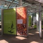 PVC Banners Exhibitions and Events